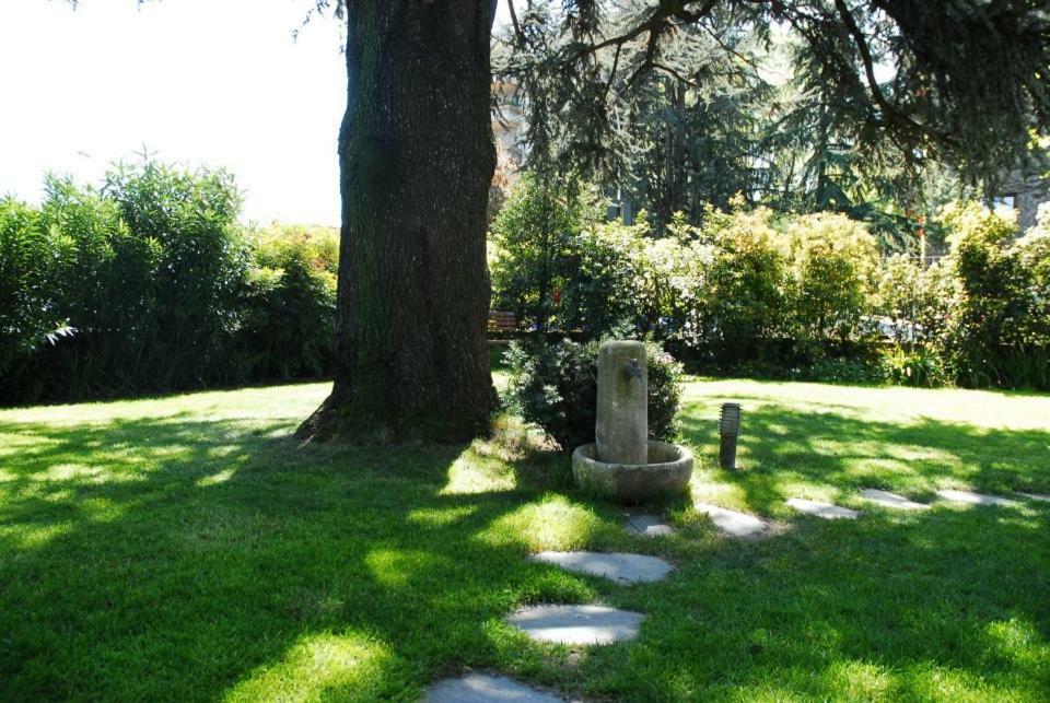 La Del Cedro *